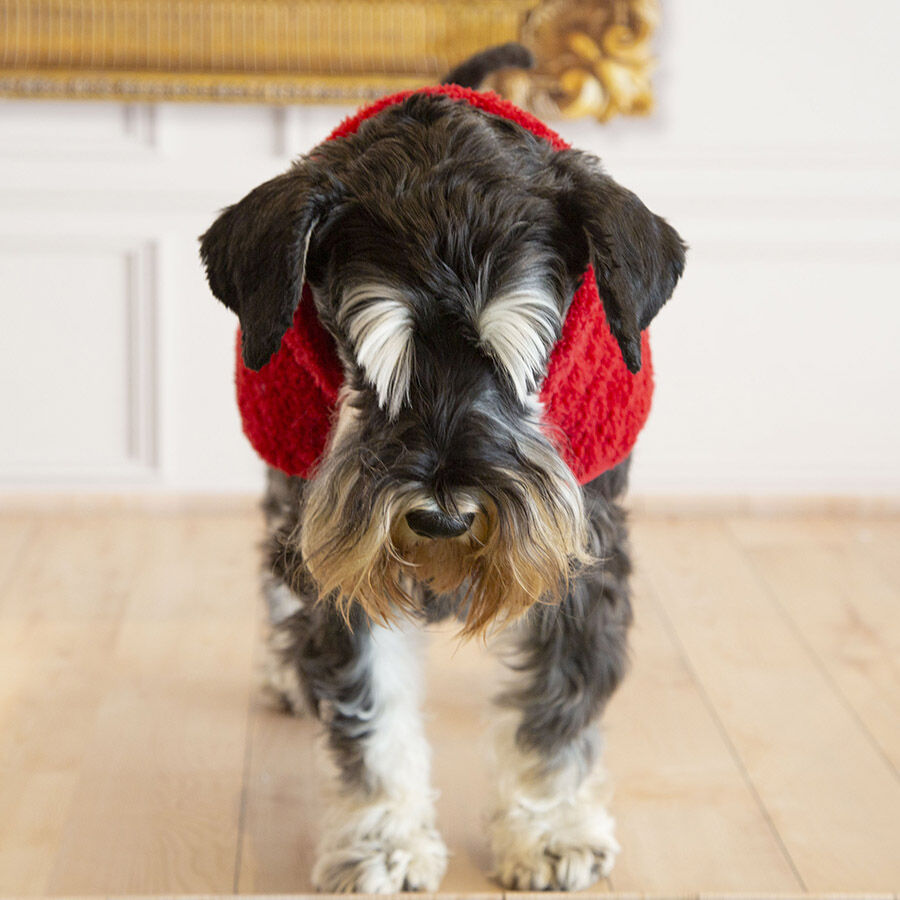 Outech Bi-Texture Abrigo Rojo para perros, , large Imagen numero 9